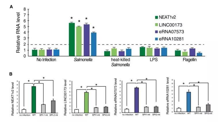 港澳彩資料免費(fèi)網(wǎng),定量解析解釋法_BUN50.931體驗(yàn)版