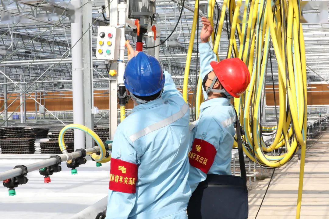 草海機(jī)場最新動態(tài)揭秘，建設(shè)進(jìn)展、航班信息及未來展望