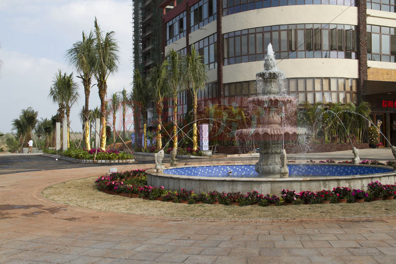 棕櫚水城最新動態(tài)，塑造理想生活新標(biāo)桿！