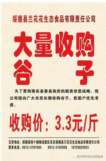 淄川最新財務(wù)招聘，職業(yè)發(fā)展的理想選擇