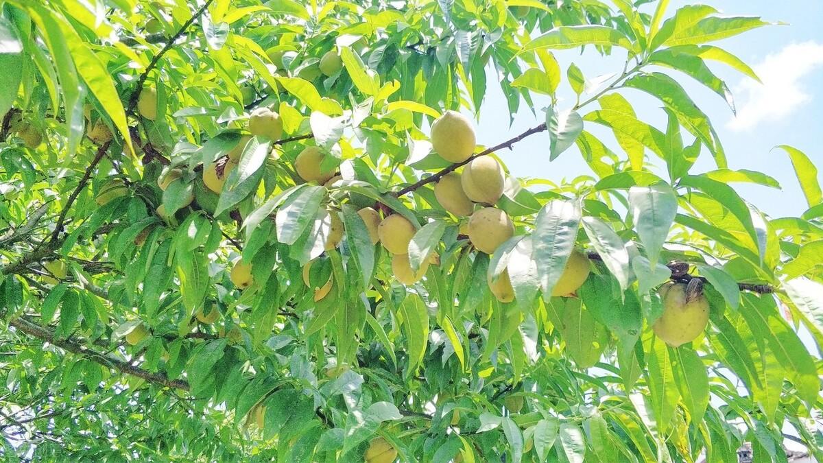 簡(jiǎn)暗最新小說(shuō)揭秘科技新品，智能生活體驗(yàn)新紀(jì)元