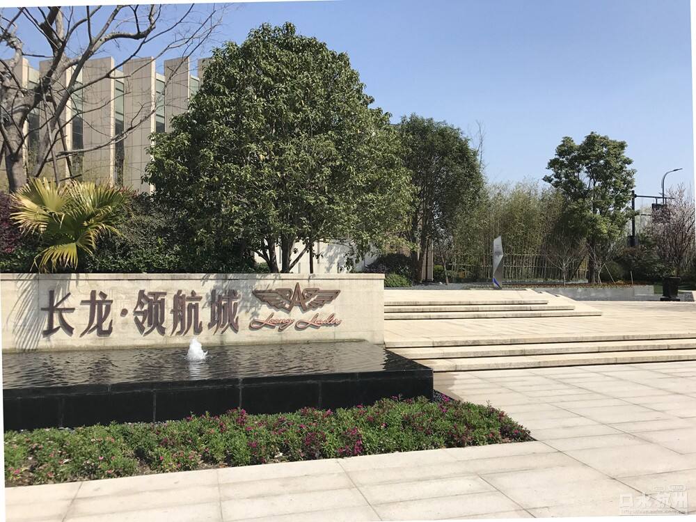 長龍領(lǐng)航最新動態(tài)，駕馭變革，開啟知識海洋的勵志之旅