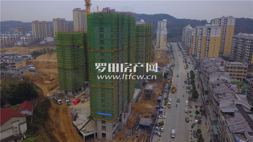 羅田最新房價揭秘，洞悉市場動態(tài)，掌握房價走勢！