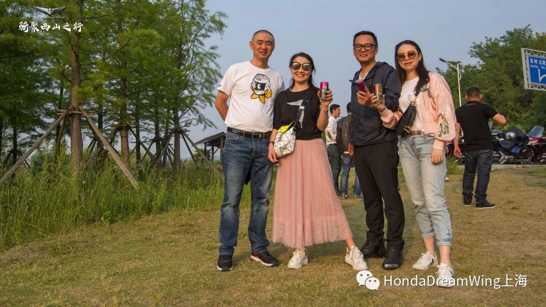 Arwen Gold最新動態(tài)，友誼的溫馨日常更新