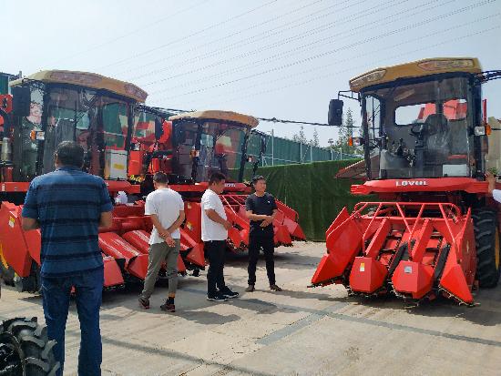 邳州玉米最新價格，時代見證下的市場動態(tài)