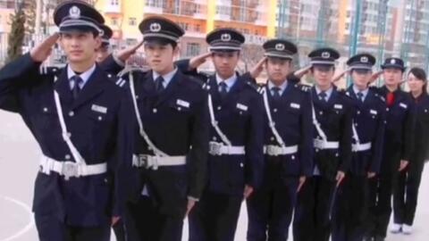 寧國(guó)最新保安招聘及其探討，行業(yè)現(xiàn)狀與發(fā)展趨勢(shì)分析