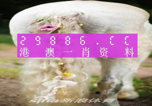 澳門四不像精準(zhǔn)一肖一碼,數(shù)據(jù)分析計(jì)劃_UVR10.888智慧版