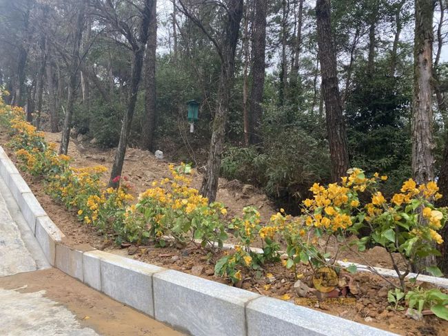 桂平手工，傳統(tǒng)與創(chuàng)新的完美交融