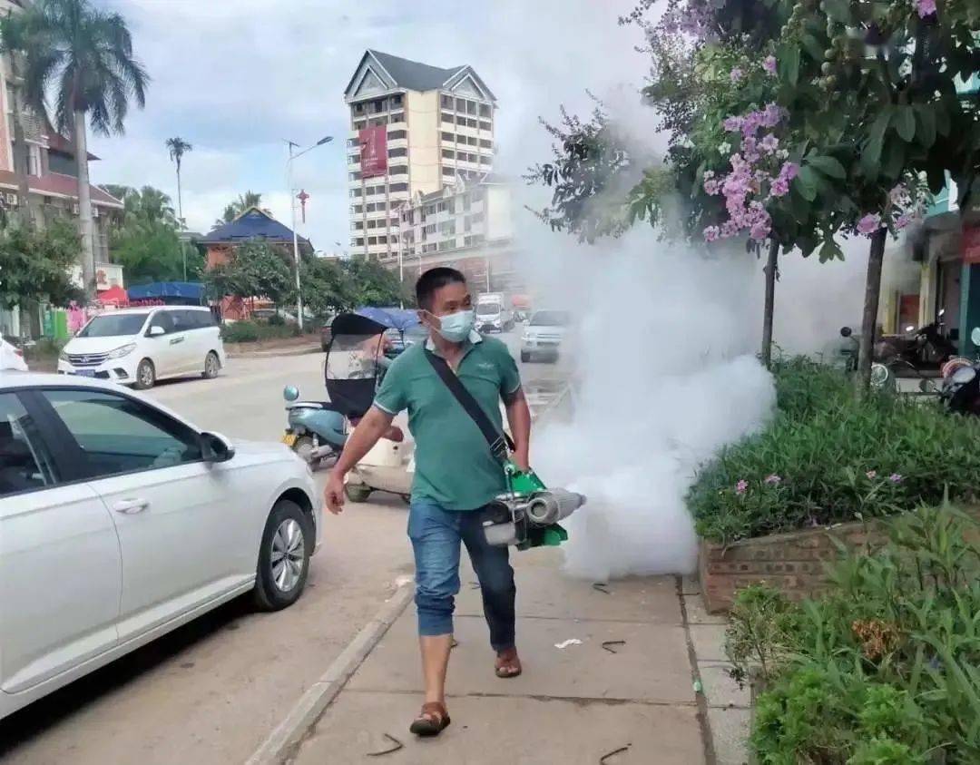 景洪登革熱最新疫情動(dòng)態(tài)，挑戰(zhàn)與自信之光的博弈