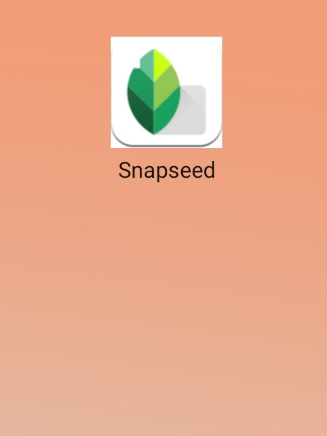 最新snapseed中文版，科技重塑影像，讓生活因攝影更精彩
