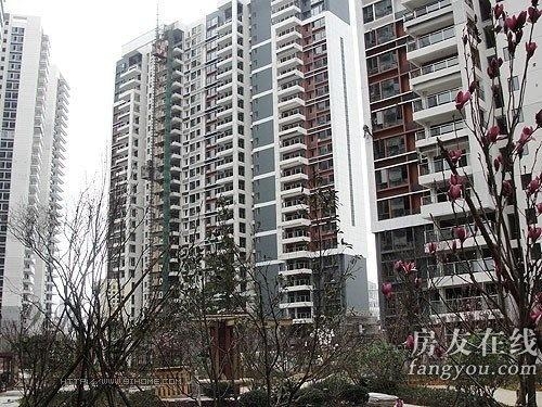 綠地長(zhǎng)島公寓最新價(jià)格揭秘，小巷深處的隱藏寶藏