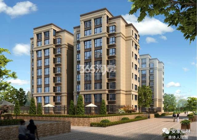 銀城東岳府最新動態(tài)分析揭秘，最新消息與進展