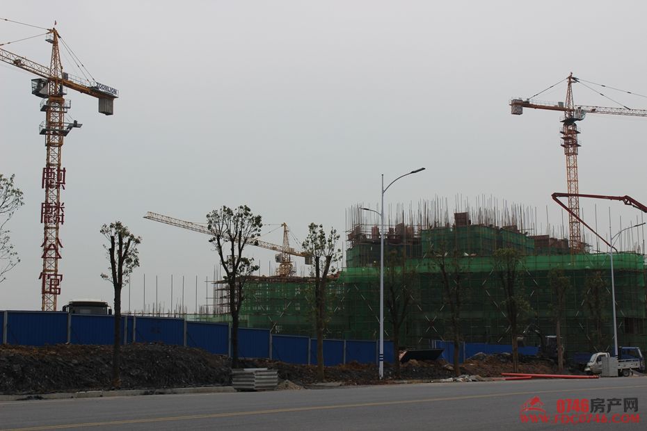 池州麒麟公館最新動態(tài)揭秘，最新進展與資訊更新