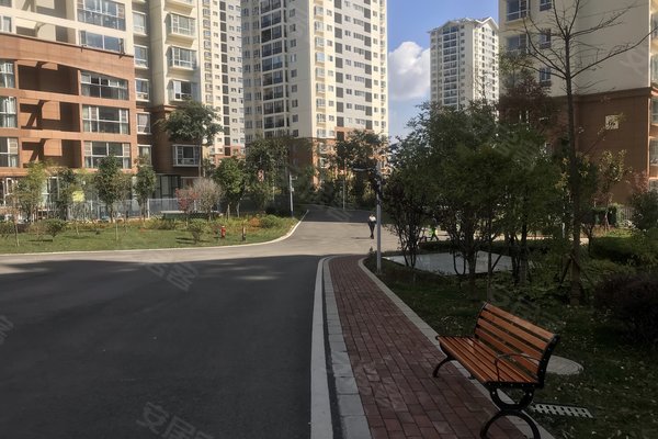 建禮家園最新動(dòng)態(tài)，小巷中的隱藏瑰寶揭秘