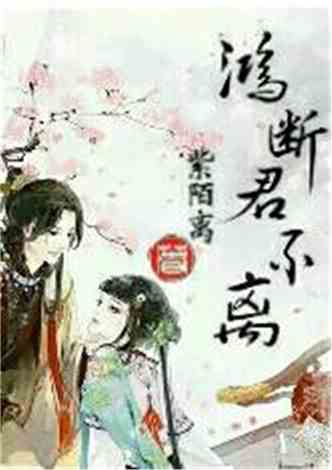 沈南汐最新小說，知識的力量，成就夢想的翅膀之路