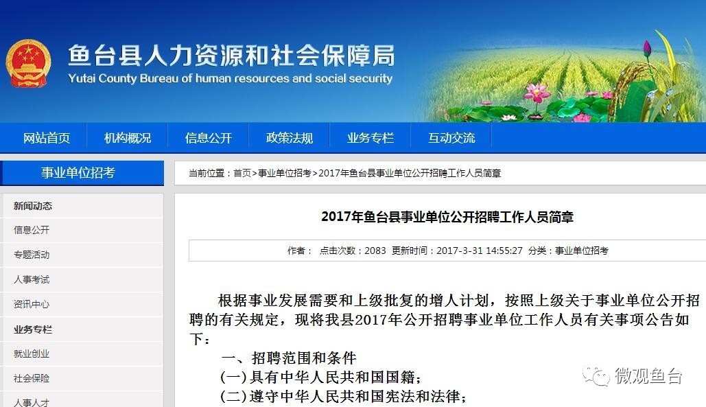 魚(yú)臺(tái)最新招聘信息大全，求職步驟指南與招聘信息更新速遞