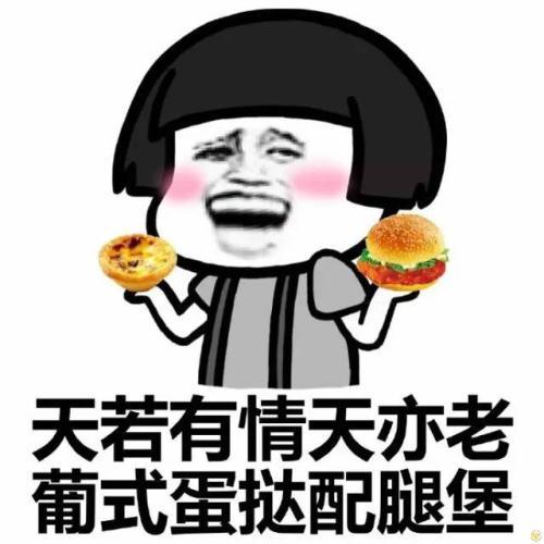 小巷深處的歡樂小鋪，最新幽默搞笑圖片大放送