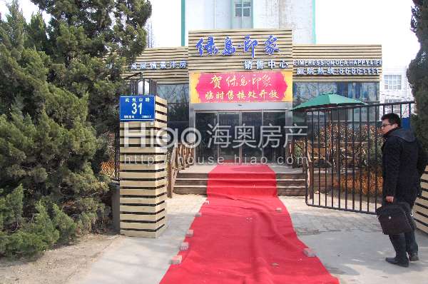 青島大洋花園最新動態(tài)，科技重塑未來花園的極致體驗(yàn)