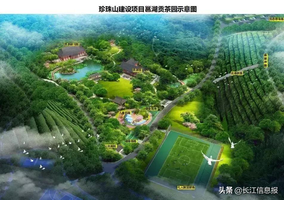 岳陽(yáng)北港小學(xué)最新動(dòng)態(tài)揭秘，校園新聞與活動(dòng)更新