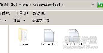 Jav最新網(wǎng)址探索，小巷深處的獨(dú)特風(fēng)味之旅