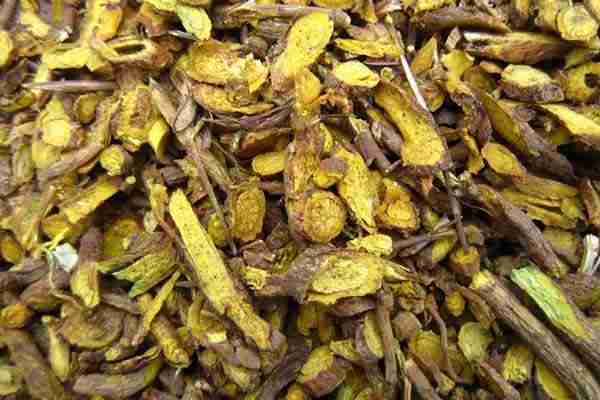 中藥黃芩最新價(jià)格及行情概述