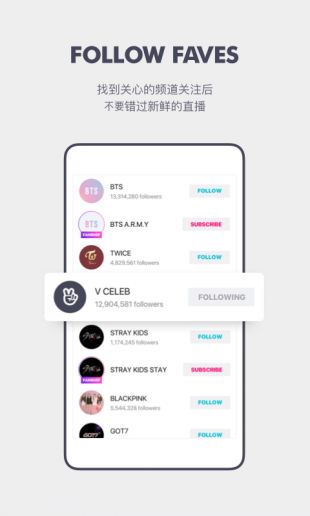 VAPP最新版下載，觀點(diǎn)論述與獲取渠道