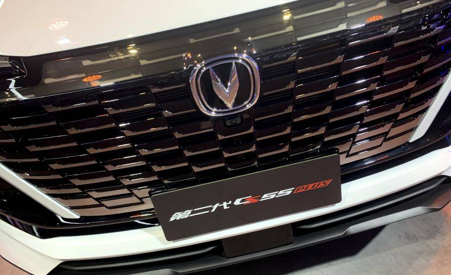 2024新澳門精準免費大全,安全設計解析說明法_FLX9.236便簽版