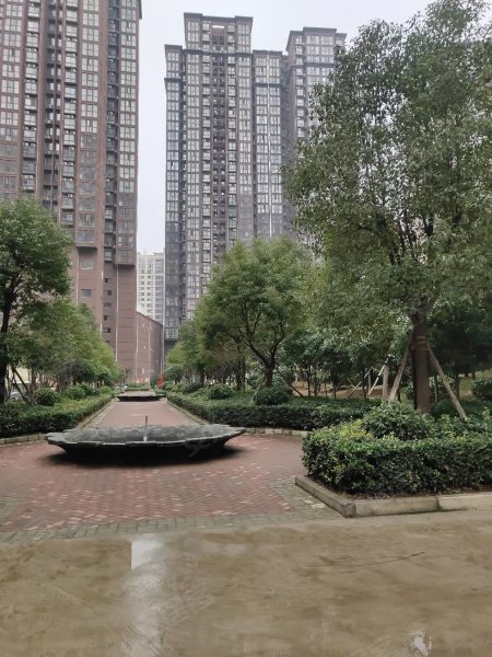 南陽盛世御苑最新動態(tài)揭秘，全面指南與步驟詳解