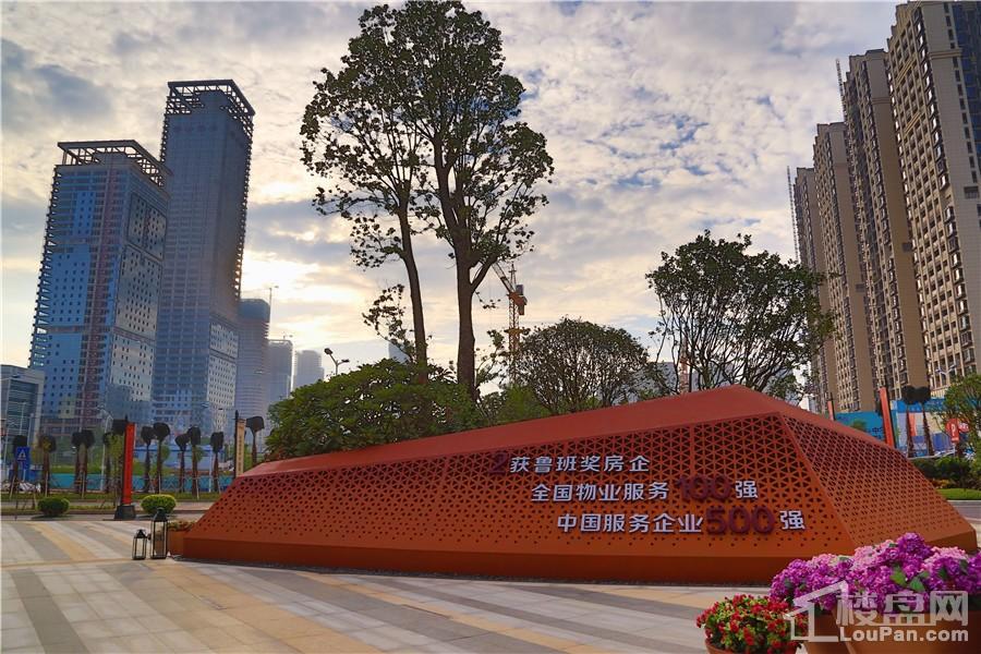 南寧彰泰城最新動態(tài)，解讀其最新發(fā)展及影響的一種觀點分析