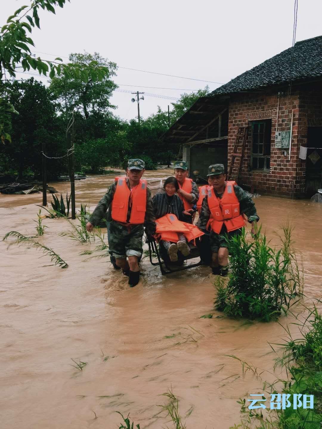 三期內必開特一肖,高速響應計劃執(zhí)行_影像處理版45.506