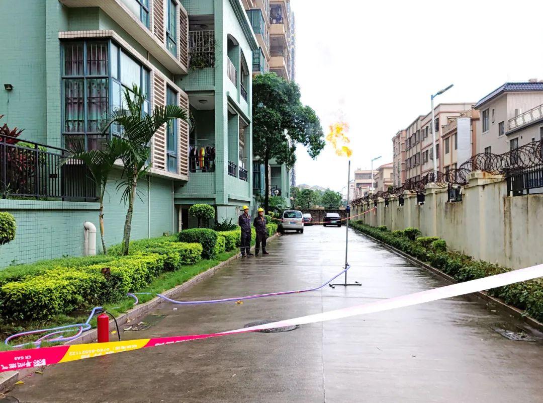 中山東鳳佛奧最新動(dòng)態(tài)，自然美景的探索之旅，尋找內(nèi)心平和與寧?kù)o