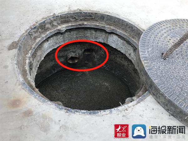 福建臺幫幫團最新一期揭秘，小巷深處的隱藏美食瑰寶