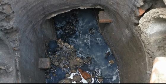 遂寧市電子廠最新招聘，與自然共舞，探尋內(nèi)心寧靜之旅