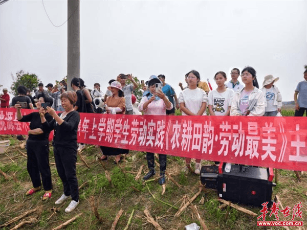 桃源木塘垸鄉(xiāng)新動(dòng)態(tài)，趣事連連，真摯友情綻放鄉(xiāng)間