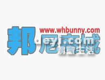 葫蘆島最新營業(yè)員招聘動態(tài)，背景分析與影響探討