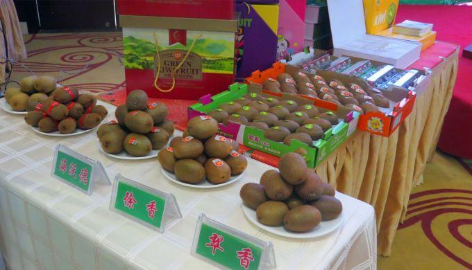 嘉興對接上海最新進展，城市崛起中的自信與成就感展現(xiàn)新面貌