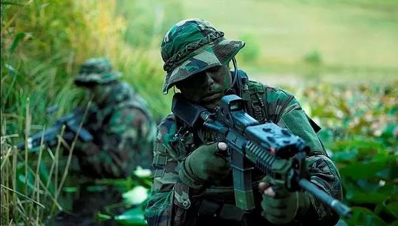 特種部隊(duì)小組最新版本，時(shí)代背景下的英勇先鋒