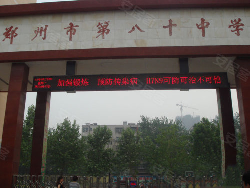 中原區(qū)九龍城最新動態(tài)深度解析，最新進展與觀點闡述