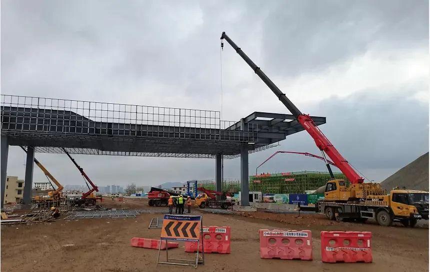 深度解析與探討，最新元龍劇情分析