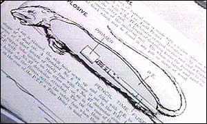 美國(guó)填尸最新進(jìn)展，高科技重塑生活，未來科技魅力體驗(yàn)