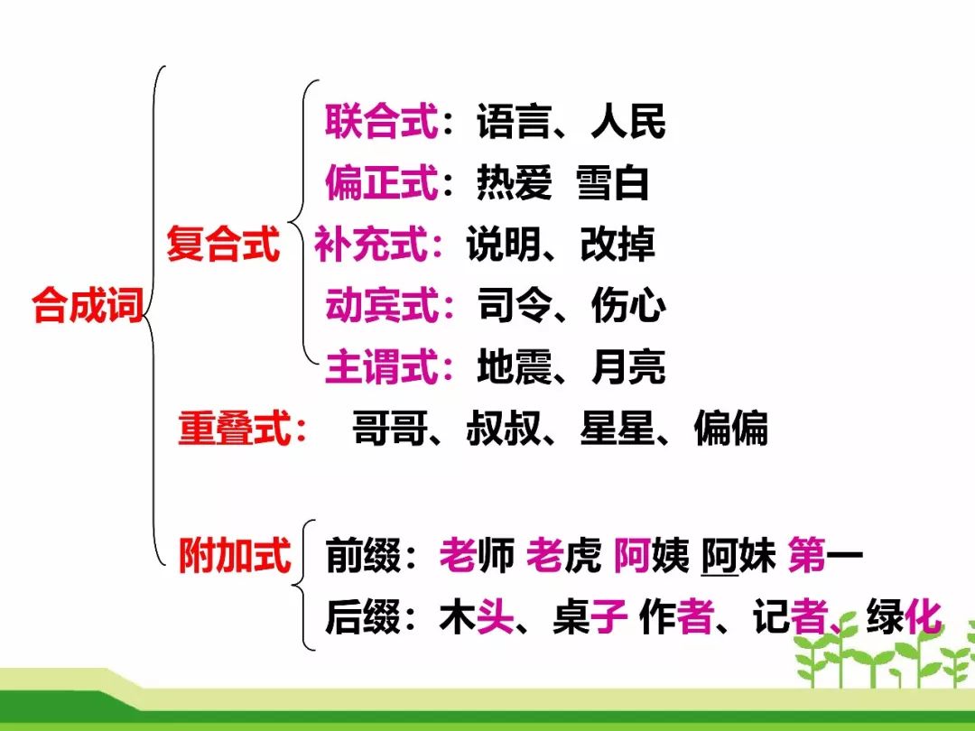 最新合成詞，語言發(fā)展的微觀視角探索