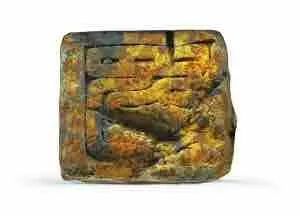 余厚蜀最新動(dòng)態(tài)，科技前沿探索與行業(yè)創(chuàng)新引領(lǐng)