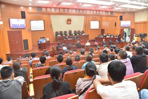 聶祖峰最新探索之旅，自然美景中的心靈尋覓與平和之境