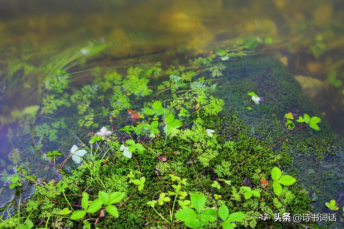 南山高樓崛起，背景、發(fā)展與時代地位全景解析