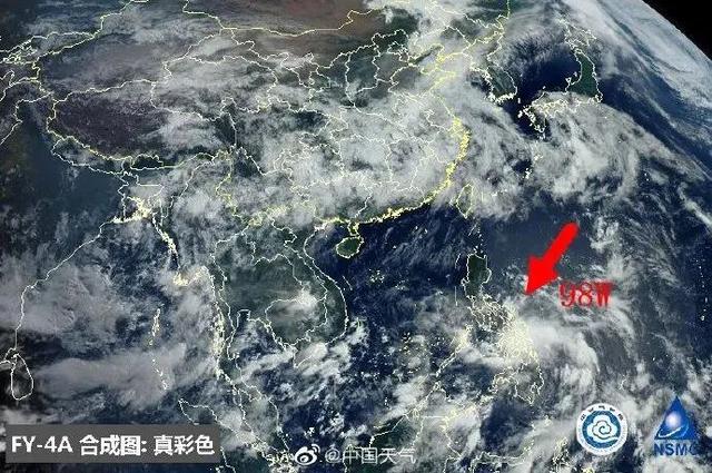 臺風(fēng)鸚鵡的最新動態(tài)，逆風(fēng)翱翔的力量與學(xué)習(xí)魅力