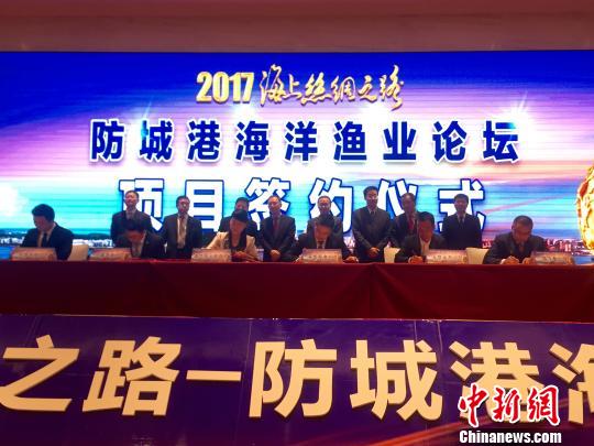 防誠港最新,防誠港的最新發(fā)展，機遇與挑戰(zhàn)并存