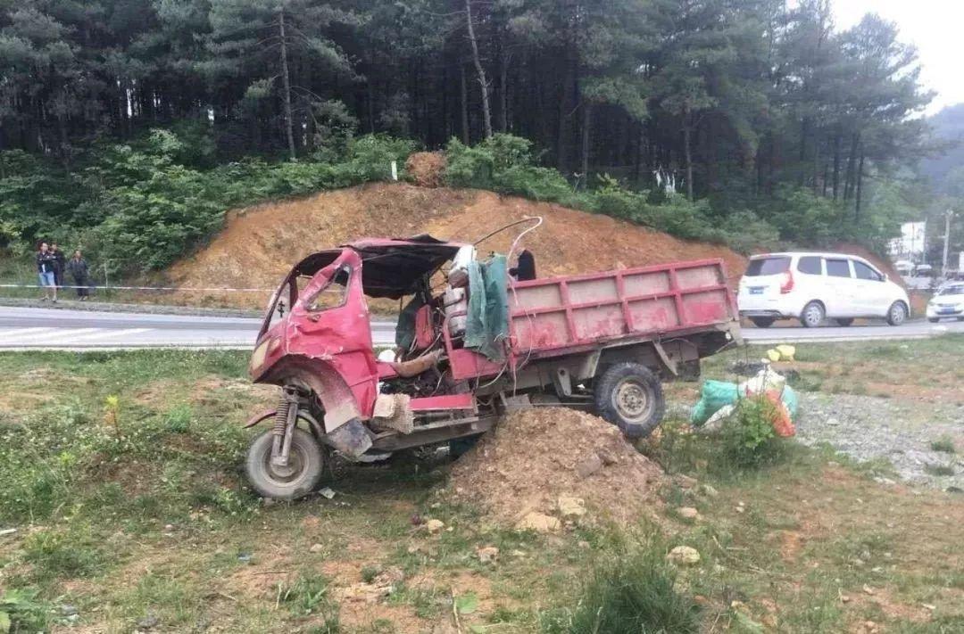 平山事故背后的溫馨故事，友情、愛(ài)與陪伴的奇遇