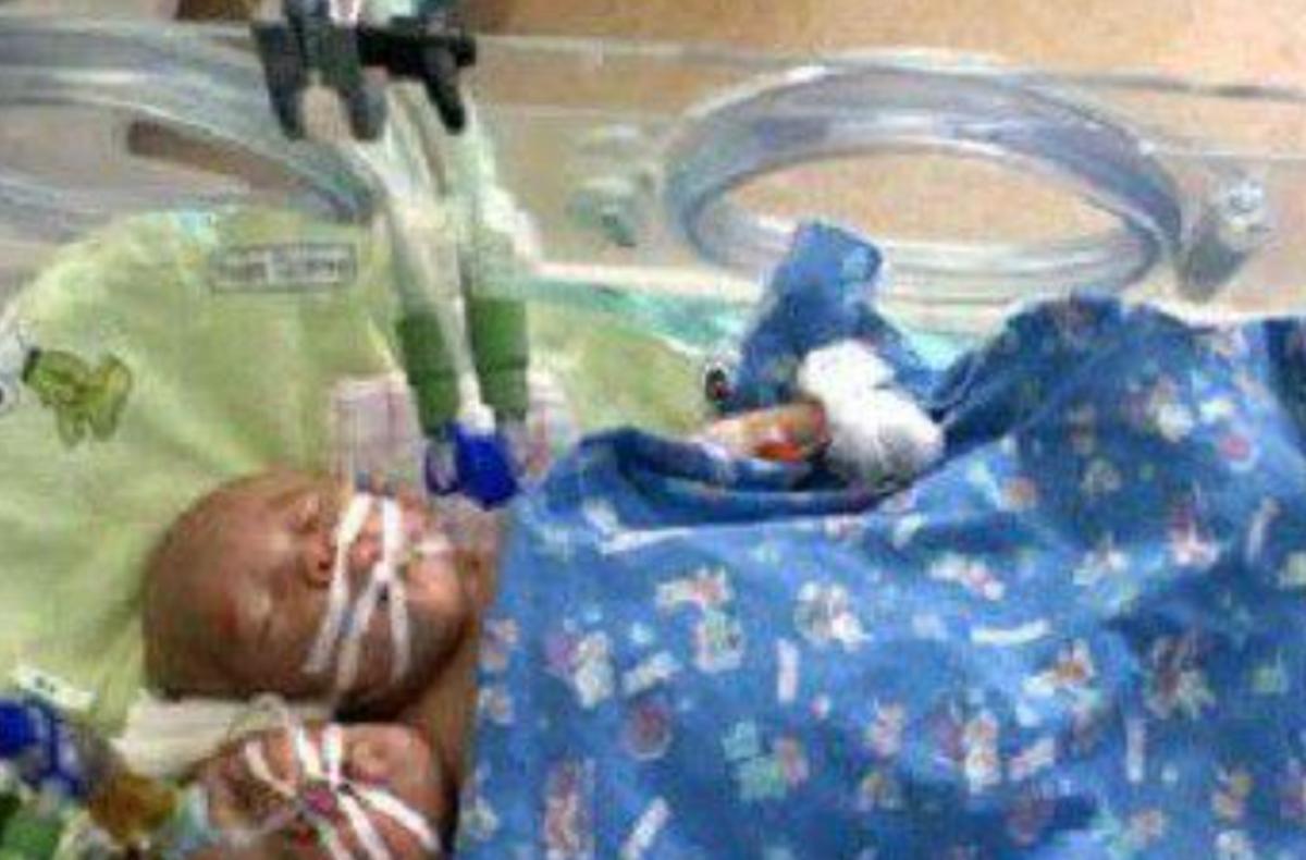 雙頭姐妹，時代背景下的傳奇故事最新進展