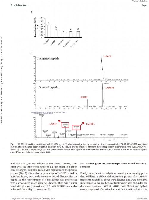 糖肽最新文獻(xiàn)，自然之旅的心靈探尋之旅，尋找內(nèi)心的寧?kù)o