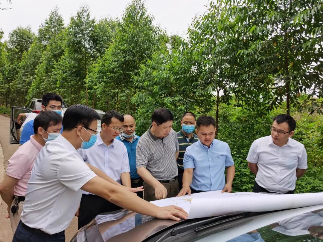 南寧龍象谷最新資訊，游玩指南與技能學(xué)習(xí)步驟全解析